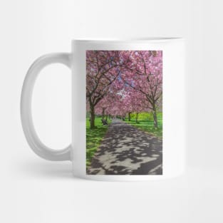 Cherry blossom in Greenwich Park in London Mug